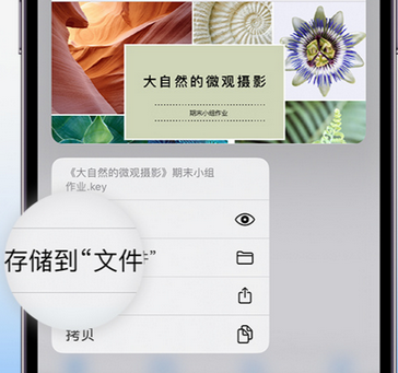 辽中apple维修中心分享iPhone文件应用中存储和找到下载文件