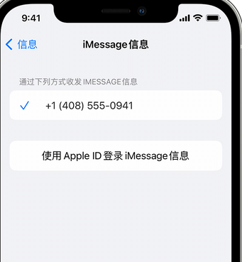 辽中apple维修iPhone上无法正常发送iMessage信息 