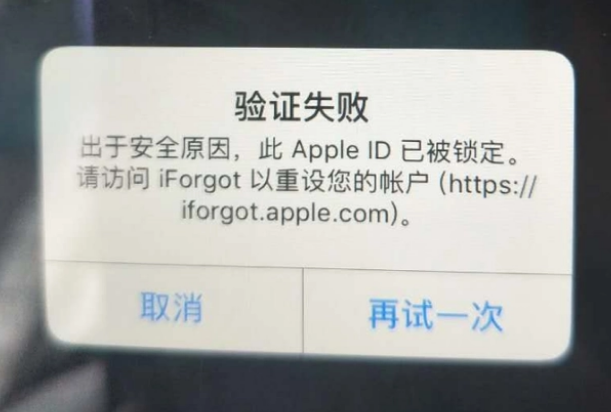 辽中iPhone维修分享iPhone上正常登录或使用AppleID怎么办 