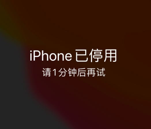 辽中苹果手机维修分享:iPhone 显示“不可用”或“已停用”怎么办？还能保留数据吗？ 