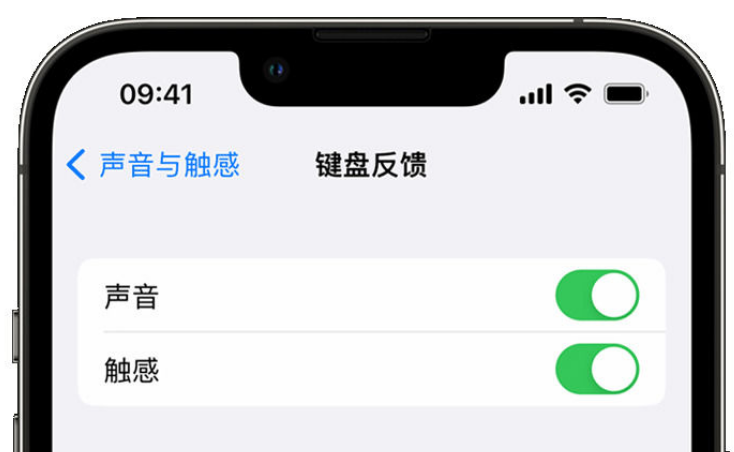 辽中苹果手机维修分享iPhone 14触感键盘使用方法 