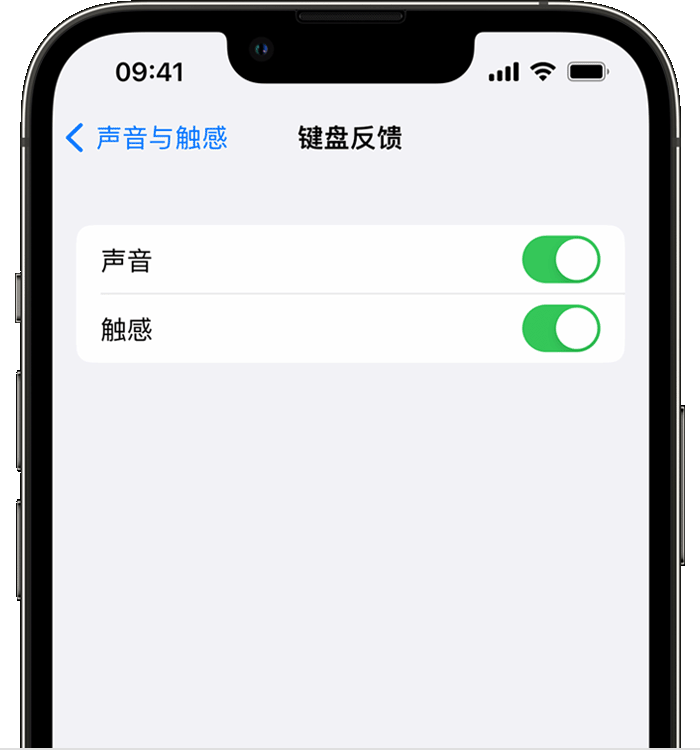 辽中苹果14维修店分享如何在 iPhone 14 机型中使用触感键盘 