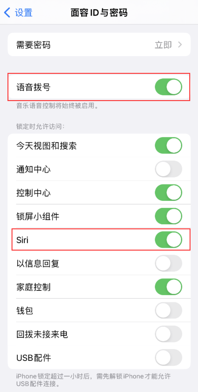 辽中苹果维修网点分享不解锁 iPhone 的情况下通过 Siri 拨打电话的方法 