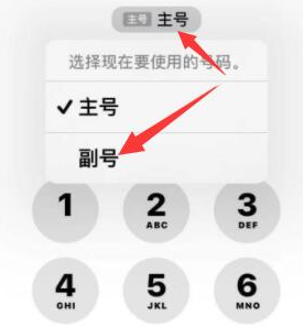 辽中苹果14维修店分享iPhone 14 Pro Max使用副卡打电话的方法 