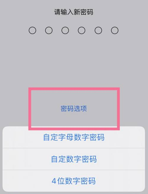 辽中苹果14维修分享iPhone 14plus设置密码的方法 