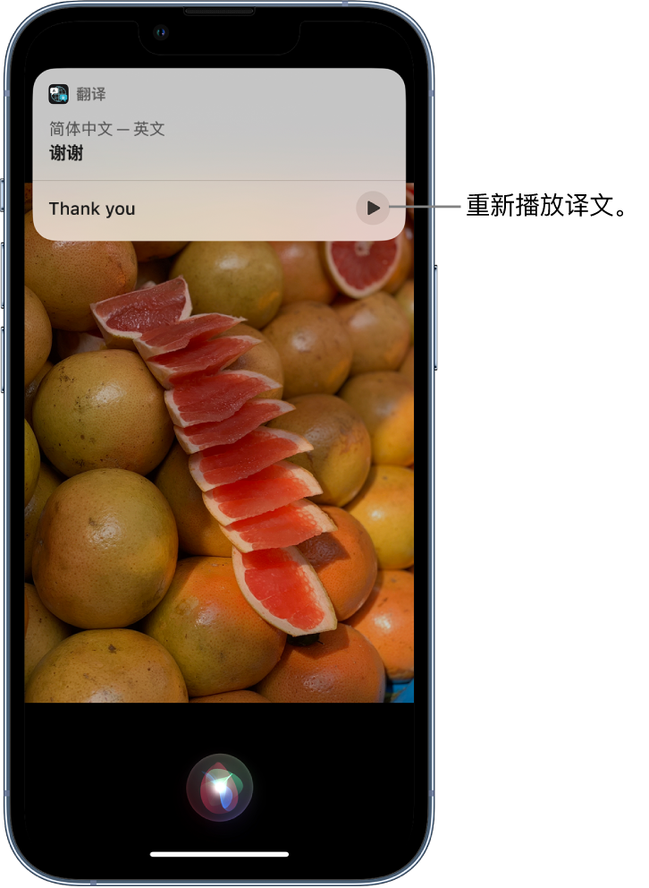 辽中苹果14维修分享 iPhone 14 机型中使用 Siri：了解 Siri 能帮你做什么 