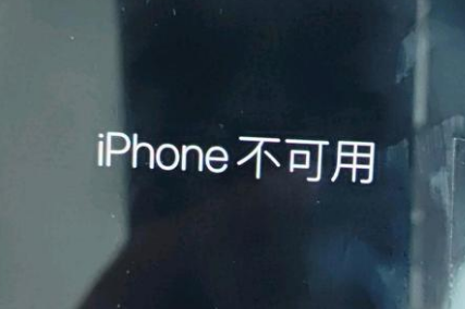 辽中苹果服务网点分享锁屏界面显示“iPhone 不可用”如何解决 