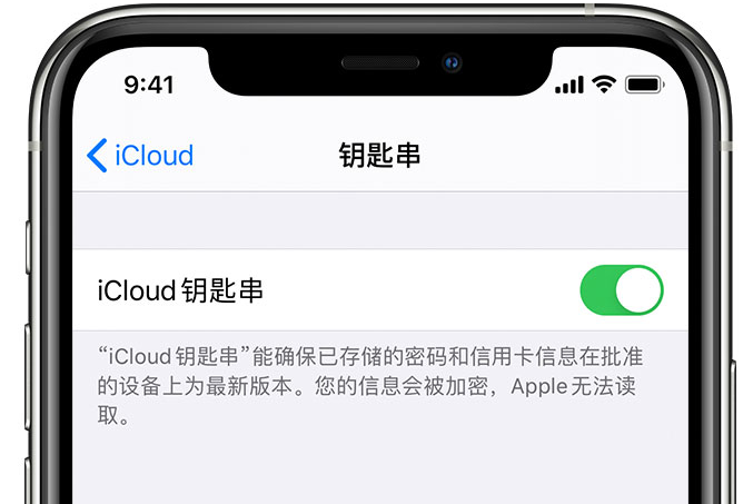 辽中苹果手机维修分享在 iPhone 上开启 iCloud 钥匙串之后会储存哪些信息 