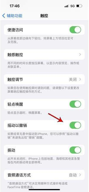 辽中苹果手机维修分享iPhone手机如何设置摇一摇删除文字 